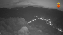 Webcams
