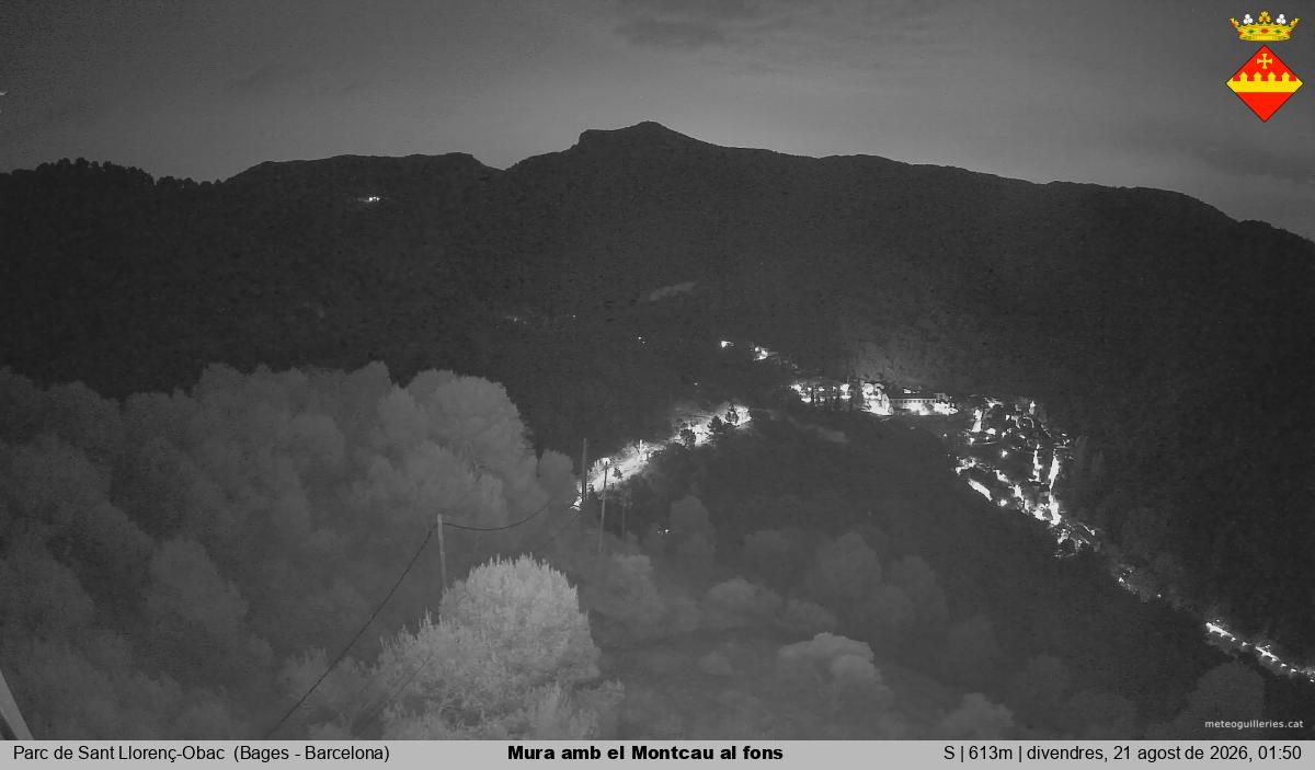 Mura amb el Montcau al fons