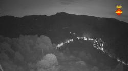Webcams