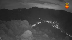 Webcams