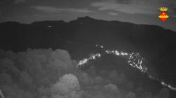 Webcams