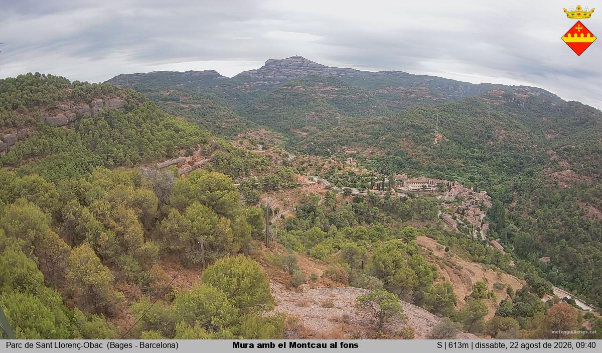 Mura amb el Montcau al fons