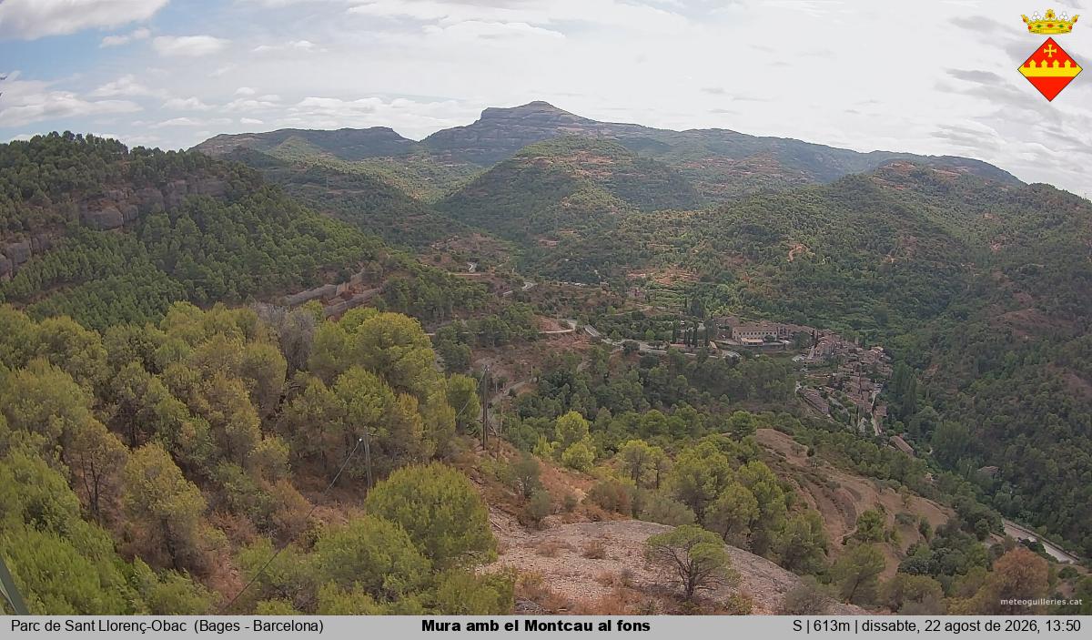 Mura amb el Montcau al fons