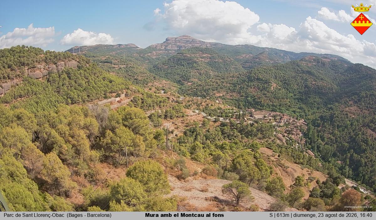Mura amb el Montcau al fons