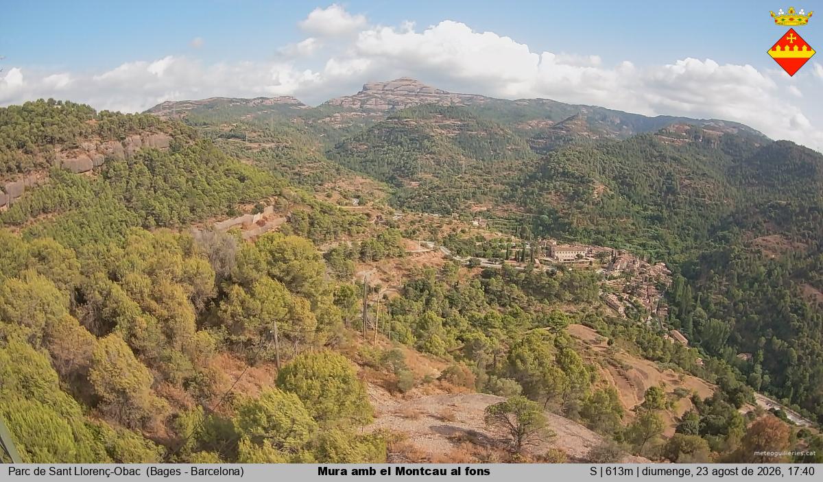 Mura amb el Montcau al fons