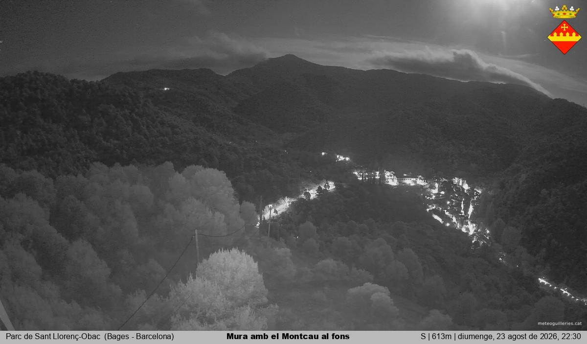 Mura amb el Montcau al fons
