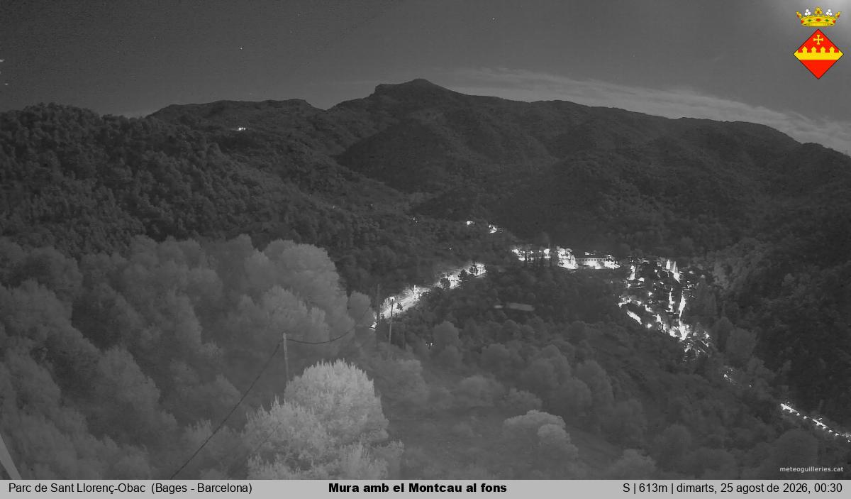 Mura amb el Montcau al fons