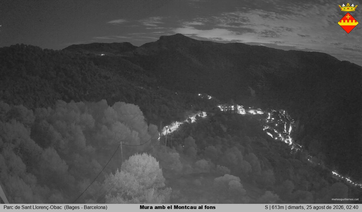 Mura amb el Montcau al fons