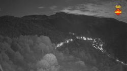 Webcams