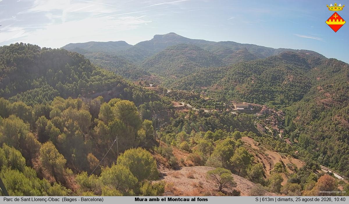 Mura amb el Montcau al fons