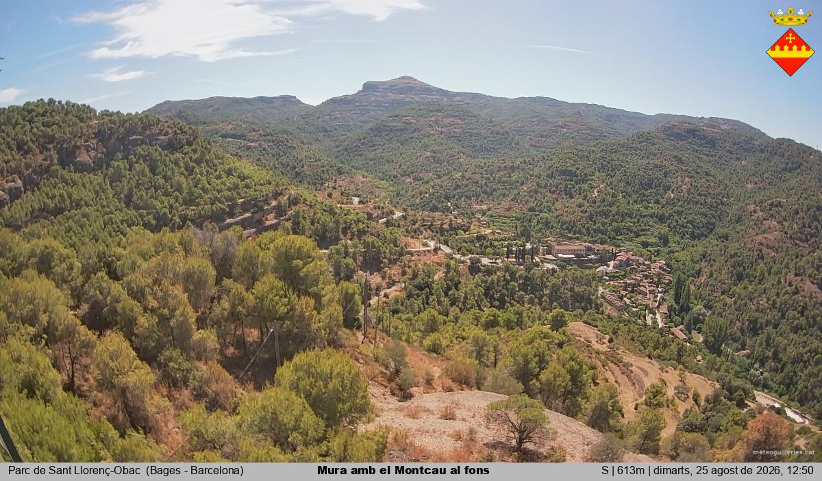 Mura amb el Montcau al fons