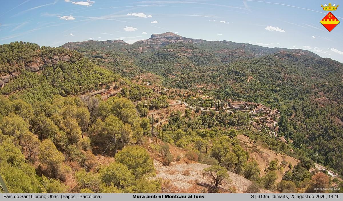 Mura amb el Montcau al fons