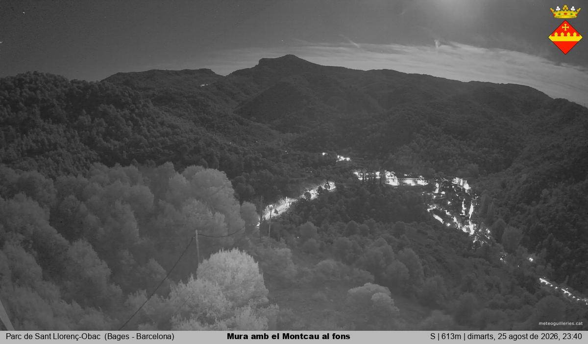 Mura amb el Montcau al fons