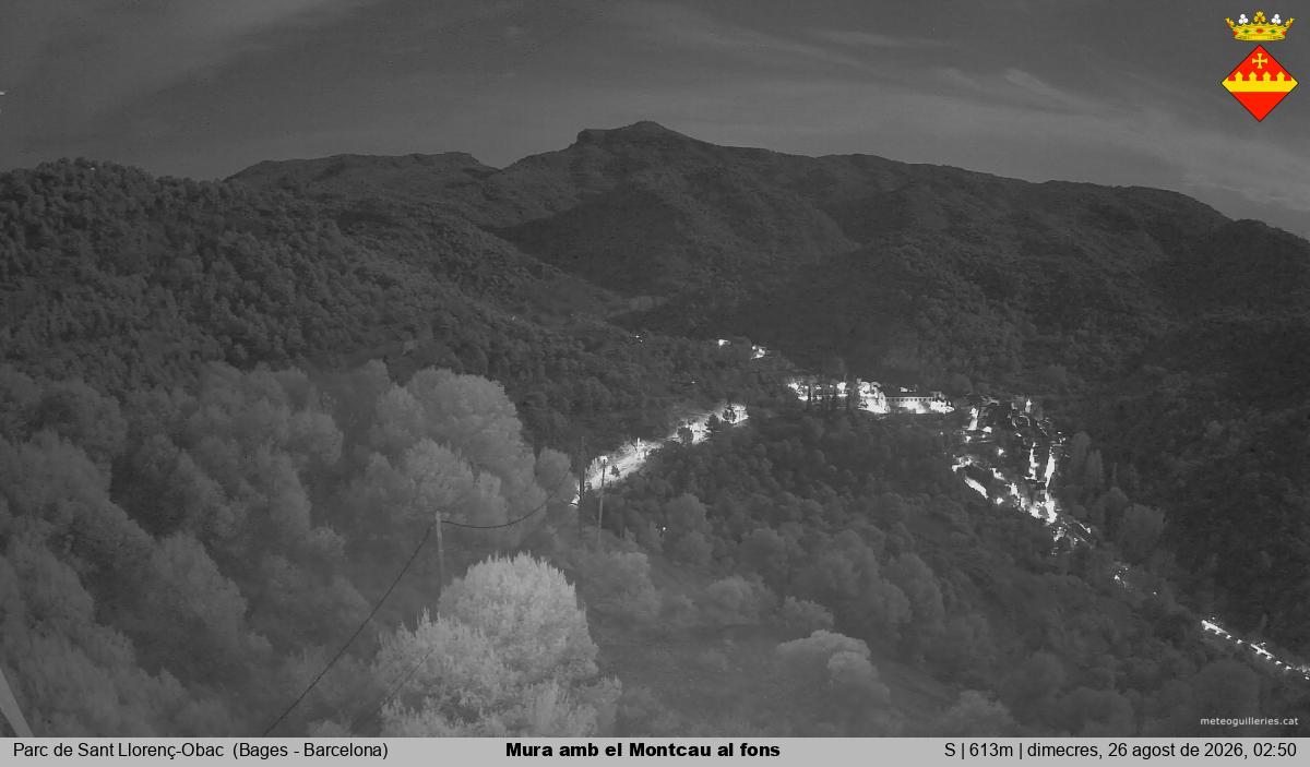 Mura amb el Montcau al fons