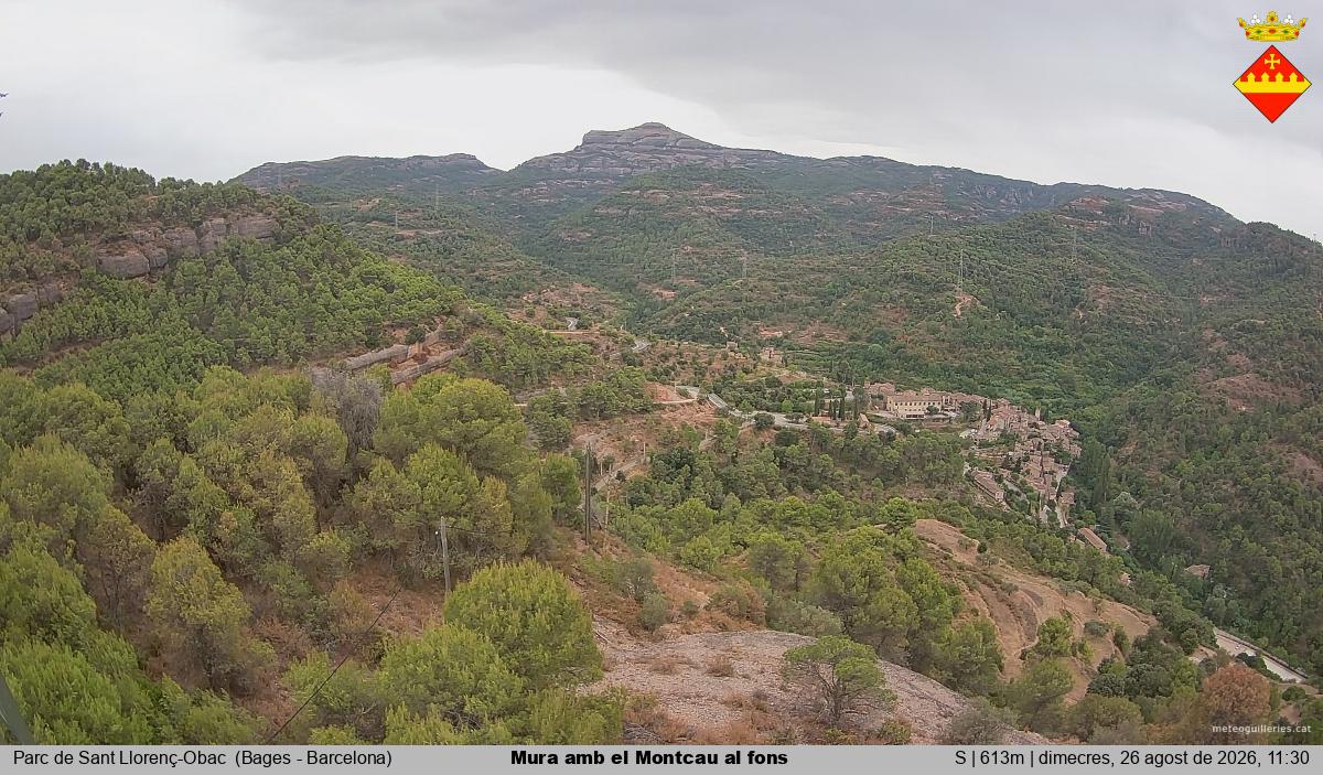 Mura amb el Montcau al fons