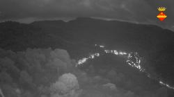Webcams