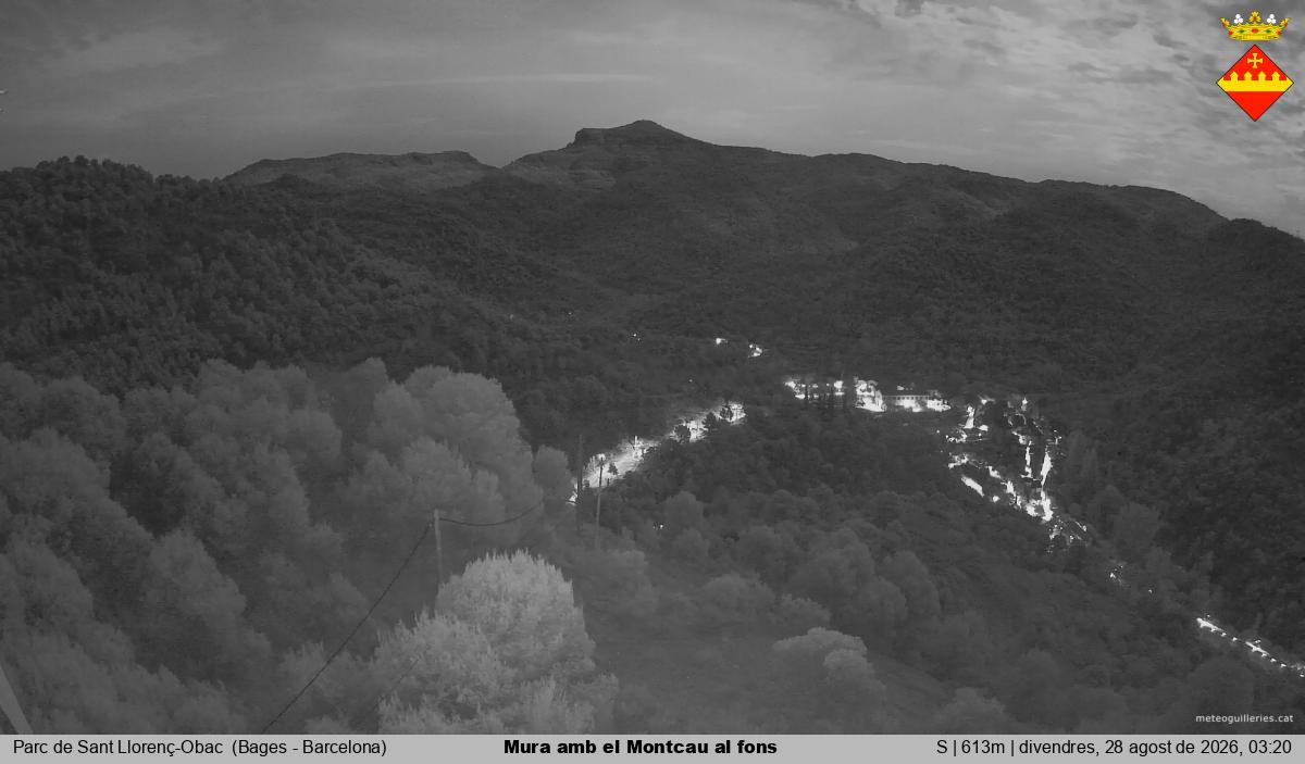 Mura amb el Montcau al fons