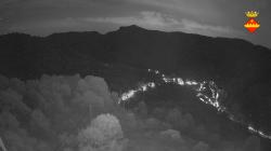 Webcams