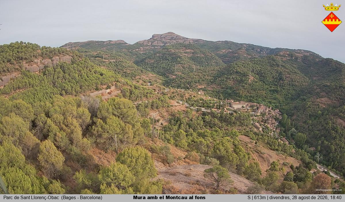 Mura amb el Montcau al fons