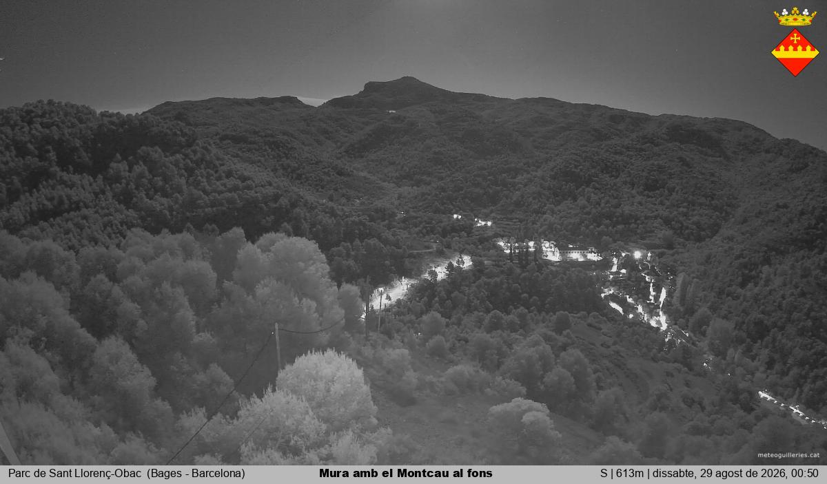 Mura amb el Montcau al fons