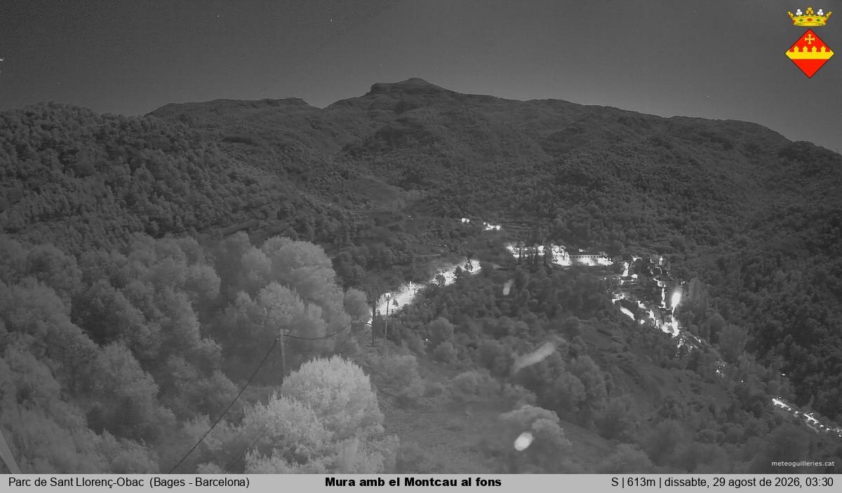 Mura amb el Montcau al fons