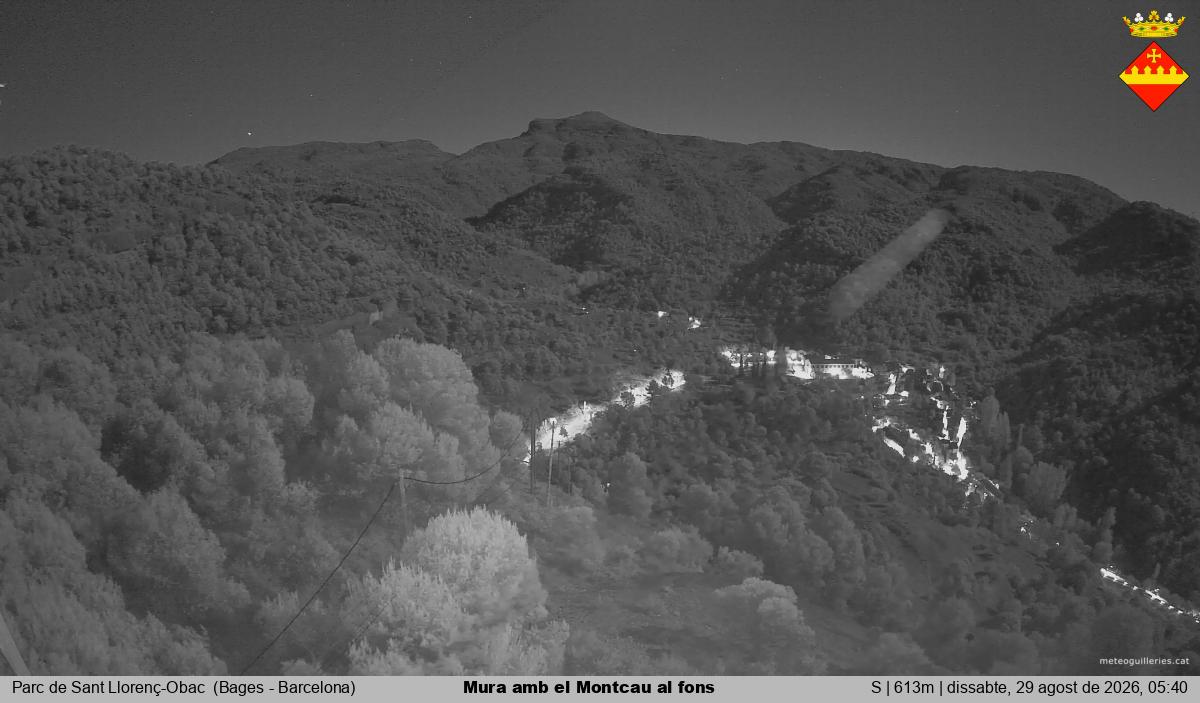 Mura amb el Montcau al fons