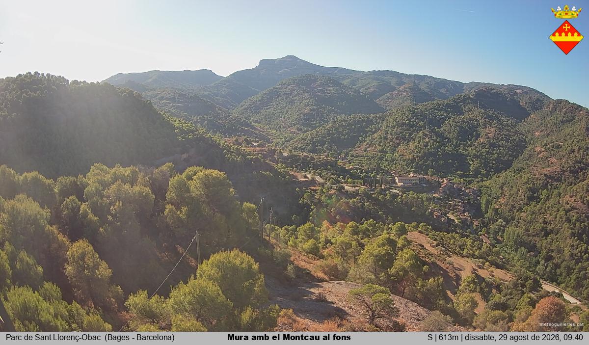 Mura amb el Montcau al fons