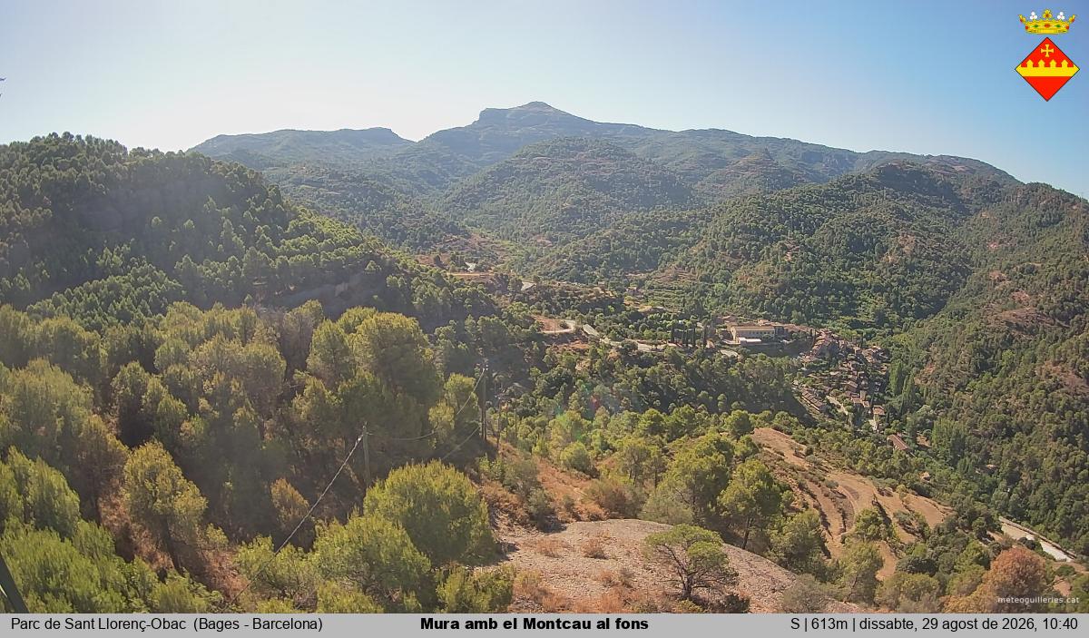 Mura amb el Montcau al fons