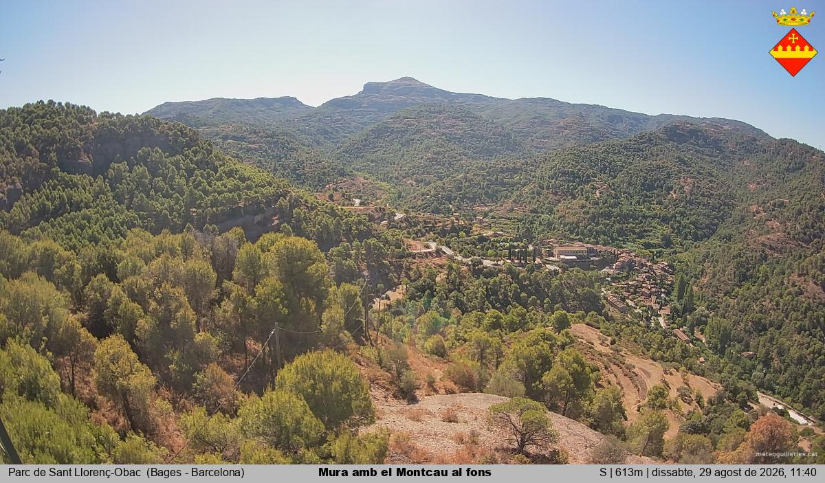 Mura amb el Montcau al fons