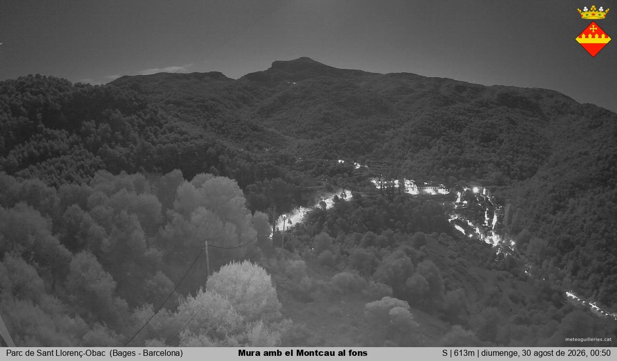 Mura amb el Montcau al fons