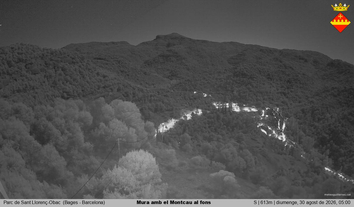Mura amb el Montcau al fons