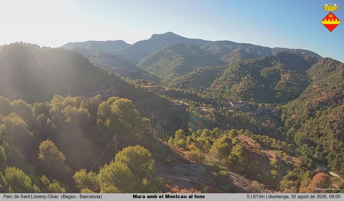 Mura amb el Montcau al fons
