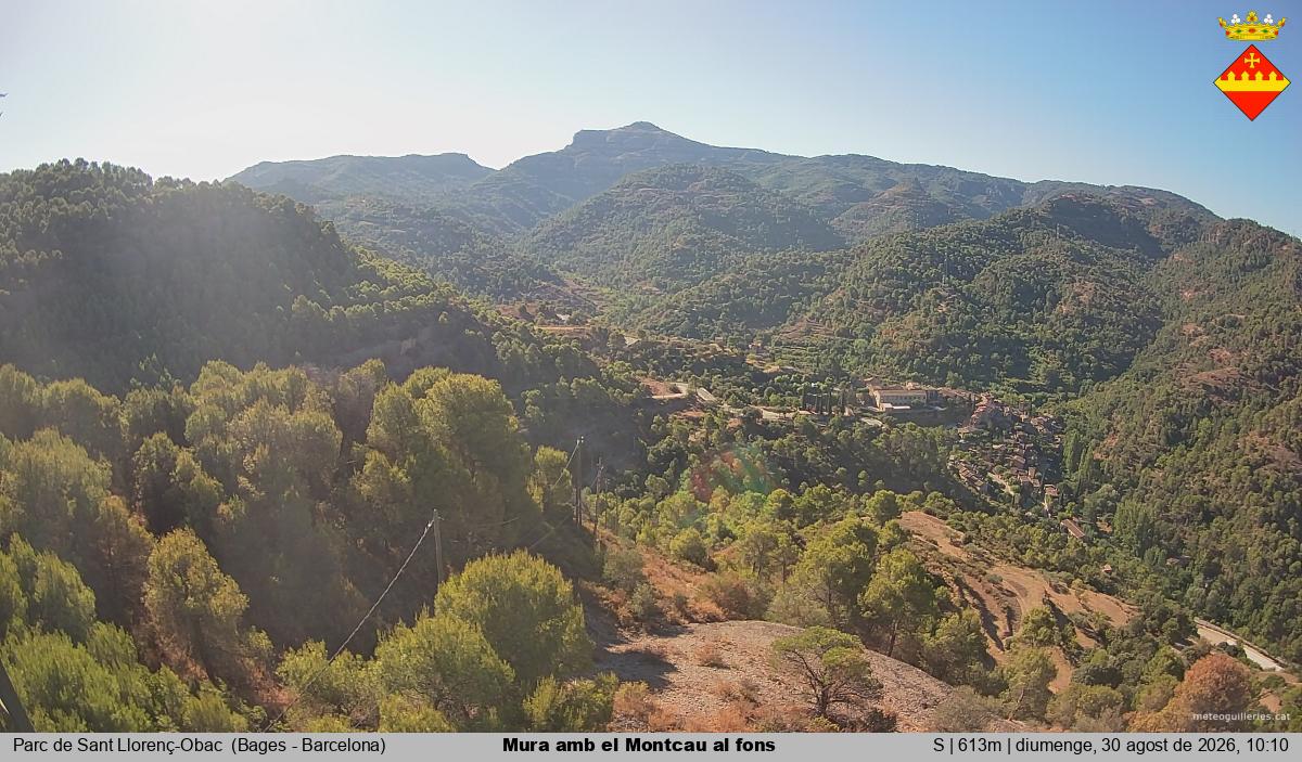 Mura amb el Montcau al fons