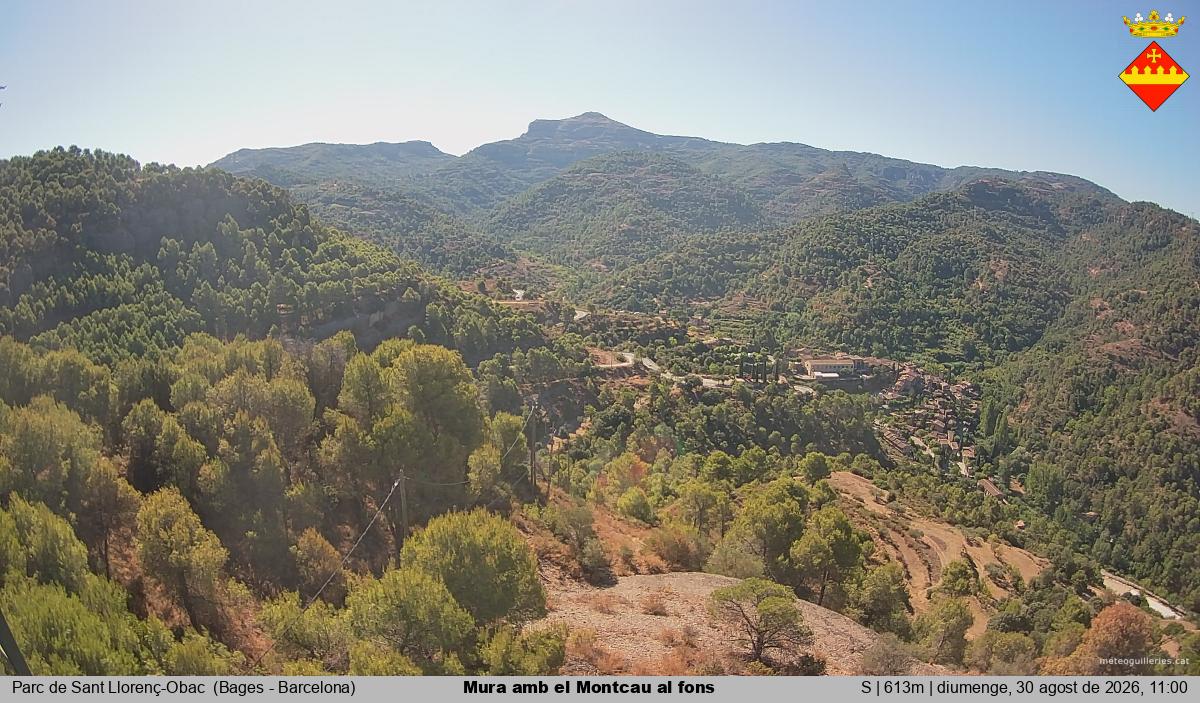 Mura amb el Montcau al fons