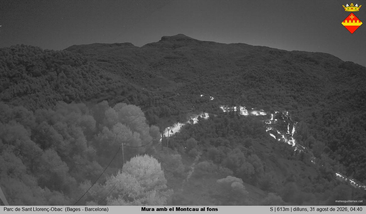 Mura amb el Montcau al fons