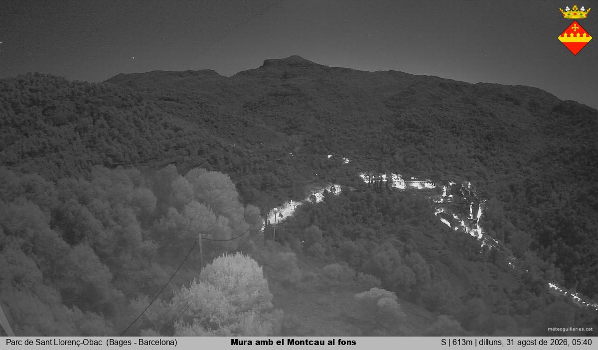 Mura amb el Montcau al fons