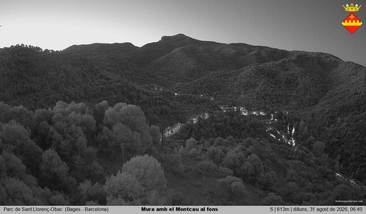 Mura amb el Montcau al fons