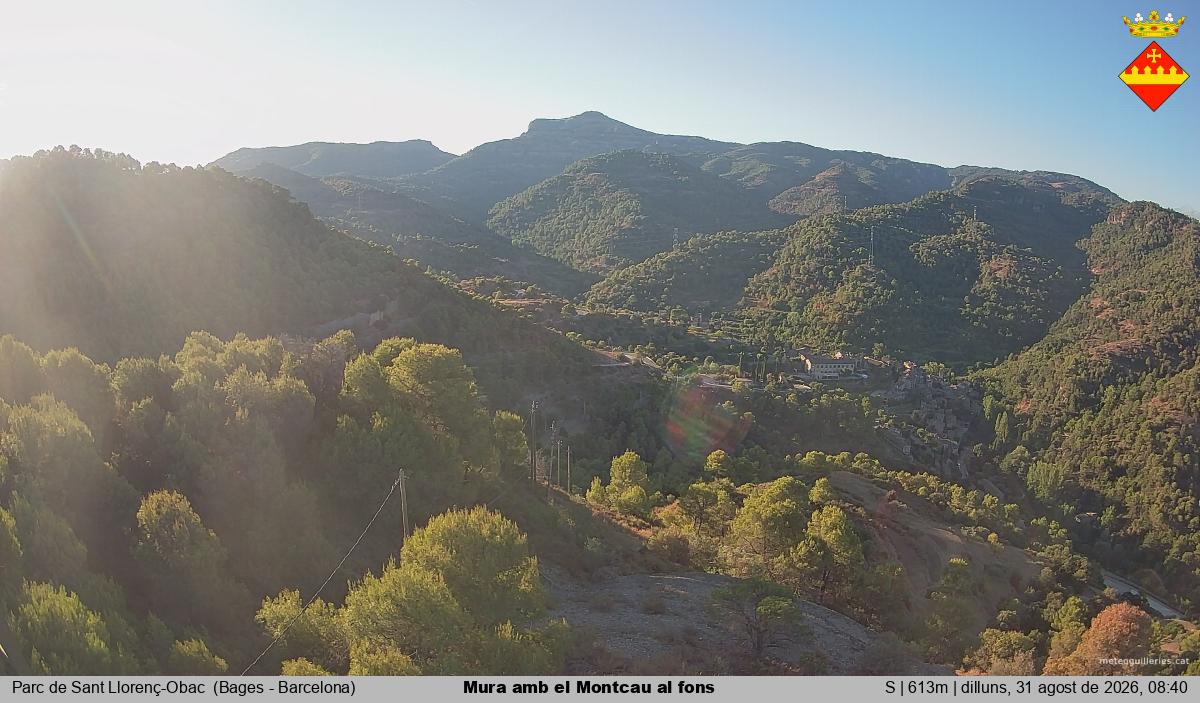 Mura amb el Montcau al fons
