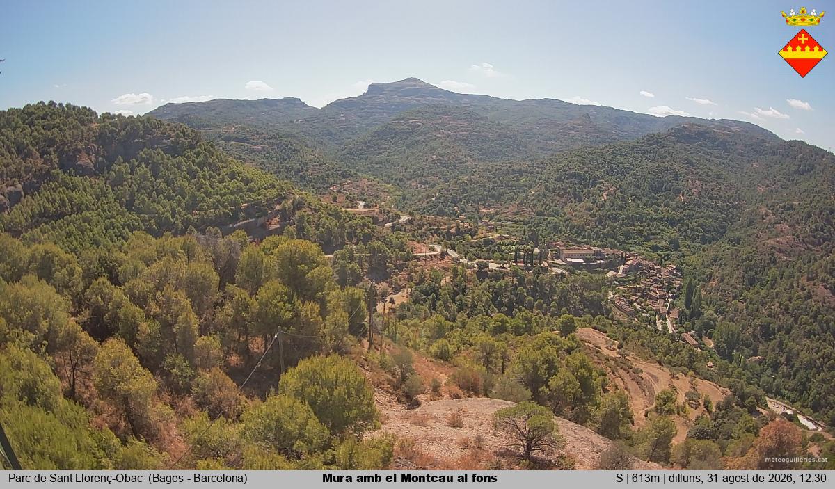 Mura amb el Montcau al fons