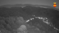Webcams