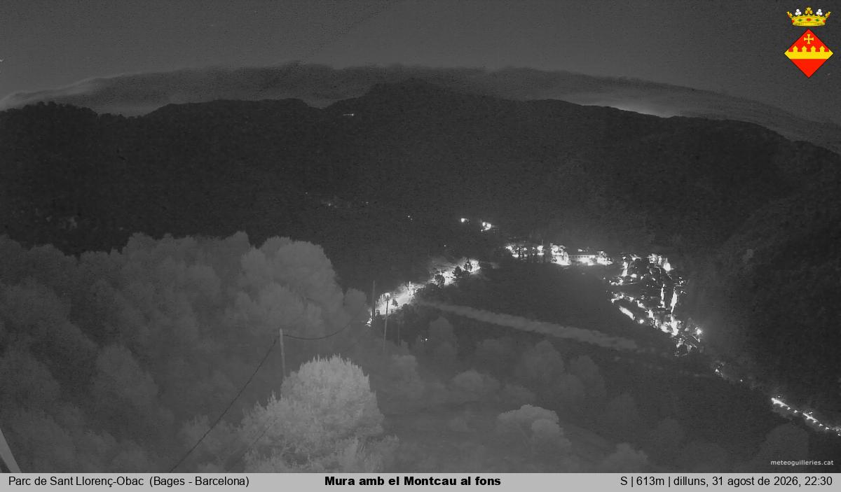 Mura amb el Montcau al fons