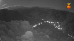 Webcams