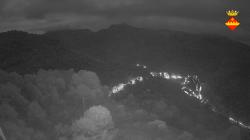 Webcams