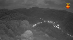 Webcams