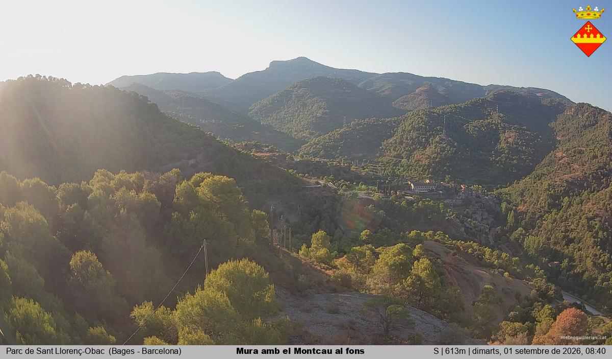 Mura amb el Montcau al fons