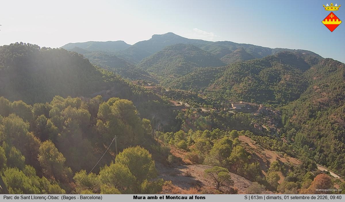 Mura amb el Montcau al fons