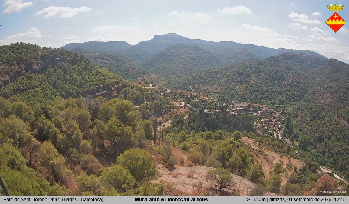 Mura amb el Montcau al fons