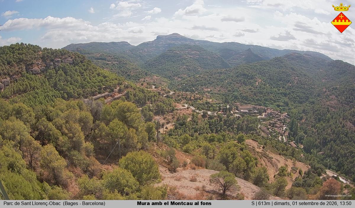 Mura amb el Montcau al fons