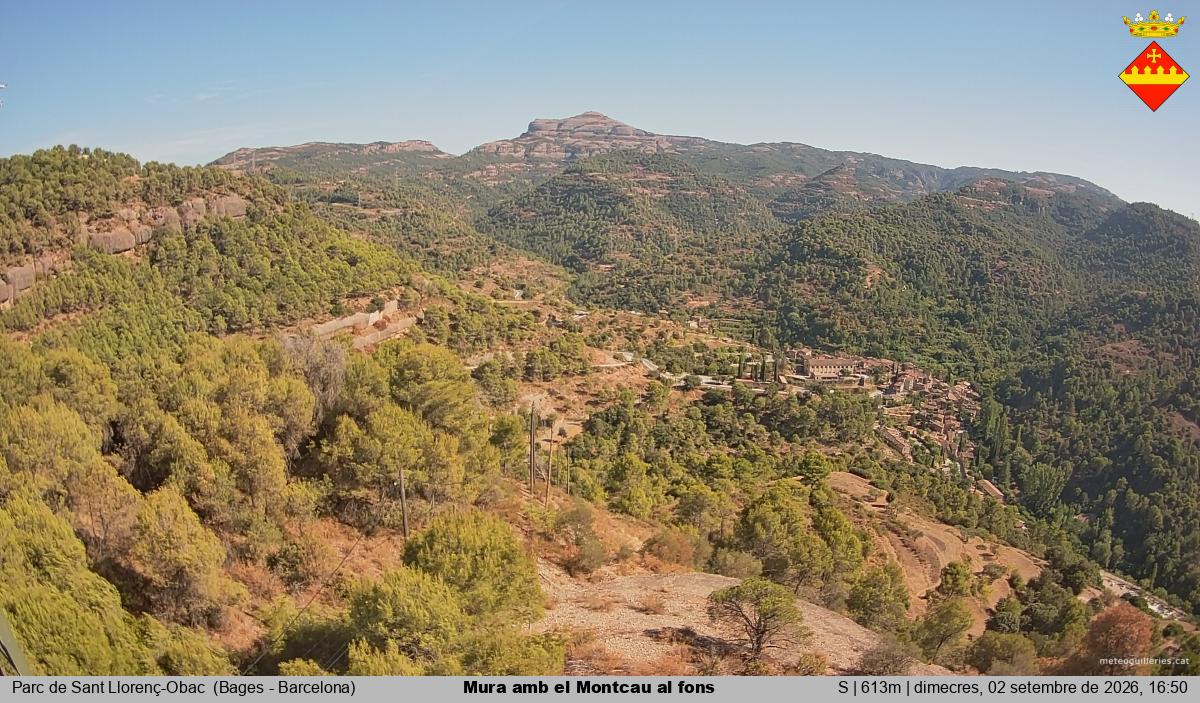 Mura amb el Montcau al fons