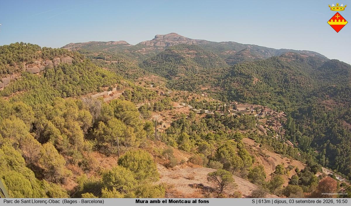 Mura amb el Montcau al fons